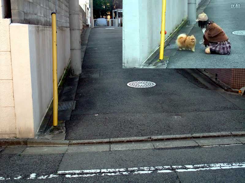 20130112_01.jpg