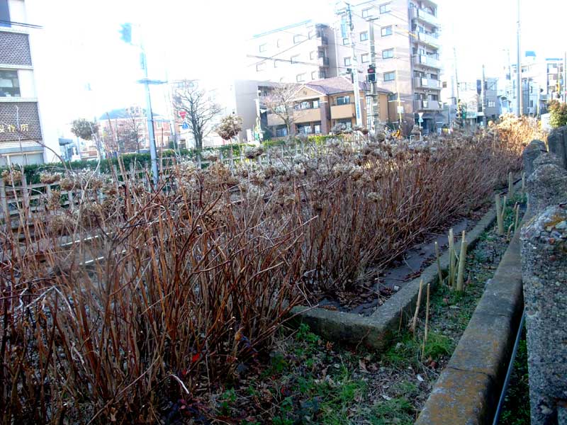20130112_07.jpg