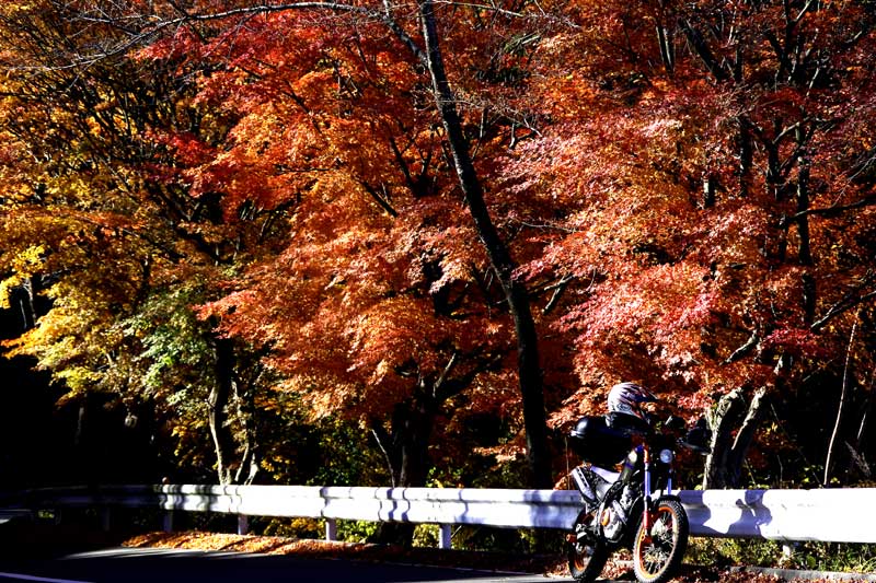 t20121125_1.jpg