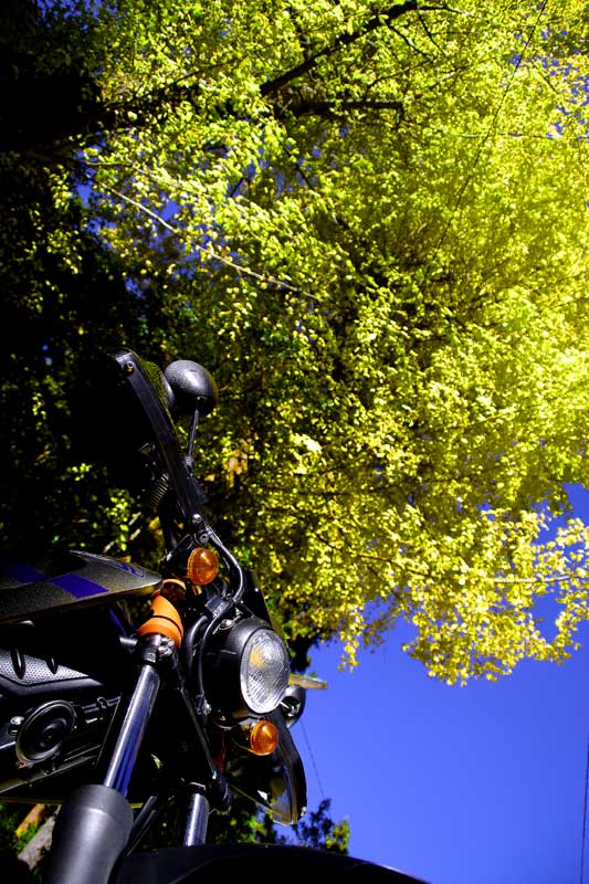 t20121125_2.jpg