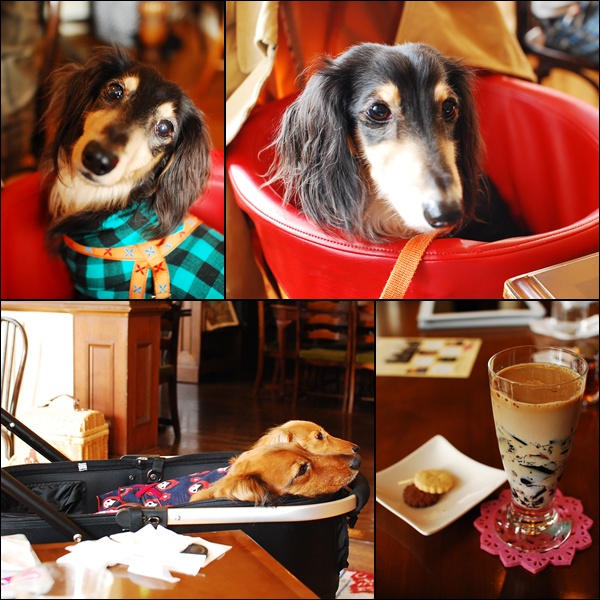2012111802.jpg