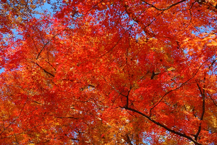 2012112506.jpg