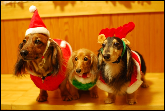 2012122203.jpg