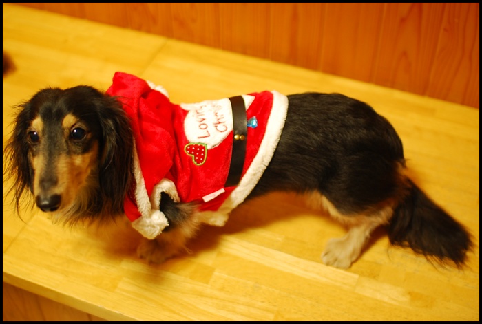 2012122204.jpg