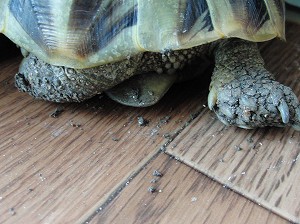 120607-04.jpg