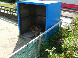 120909-07.jpg
