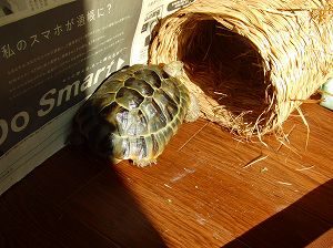 121231-05.jpg