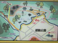 IMG_0910 (800x600)