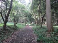 IMG_0904 (800x600)