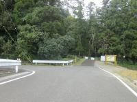 IMG_0899 (800x600)