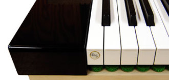 DS-Button-Web04