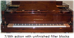 a_DS-Keyboard-in-Bernstein-We.jpg