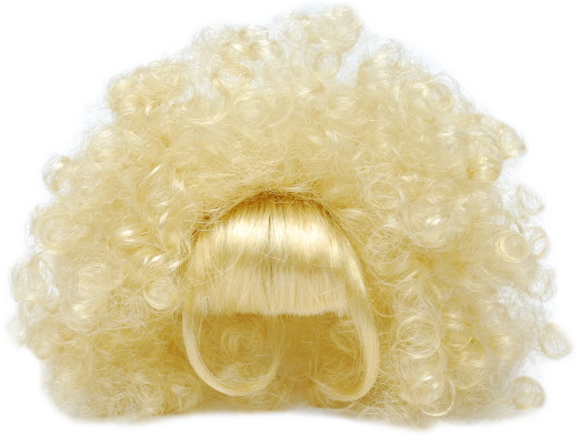 20121227-wig01.jpg
