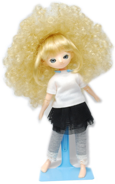 20121227-wig02.jpg