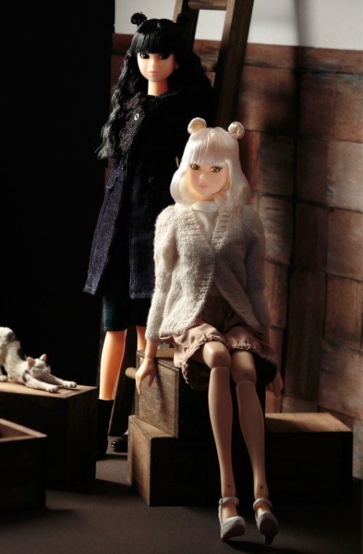 ccsmomoko12AW-WHcat05.jpg