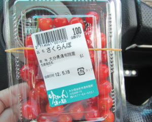 o02.jpg