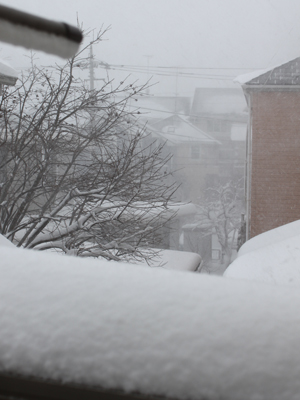 大雪