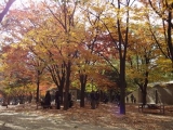 20141123-4.jpg
