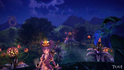 TERA_ScreenShot_20130110_020647.jpg