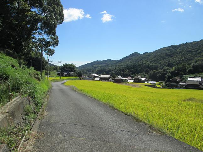 あがもん