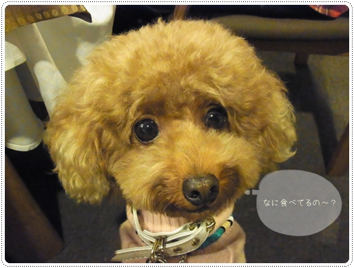20111015_106.jpg