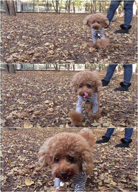 20111016_09.jpg