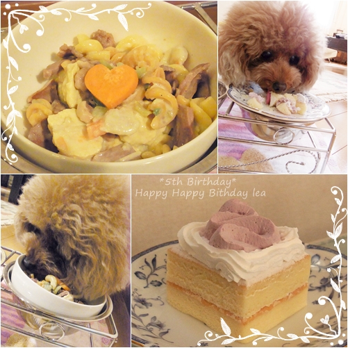 20111126.jpg