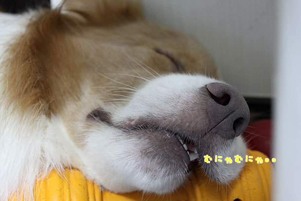 HmUrPxiSO5flUfY.jpg