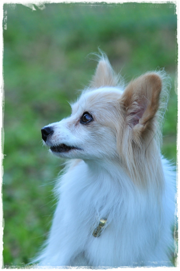 DSC_1780.jpg
