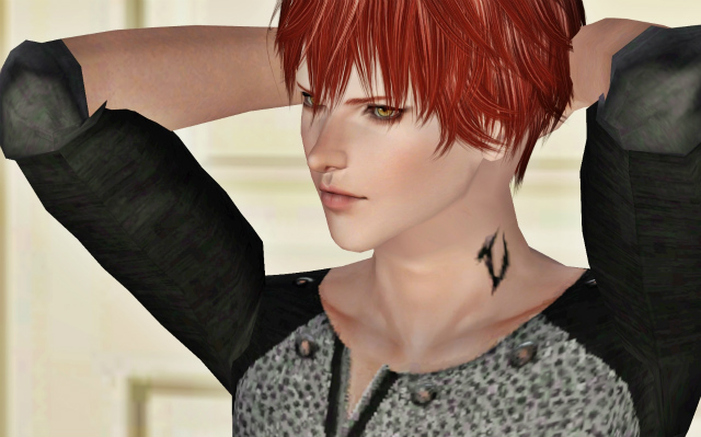 20130515chap6 (44)