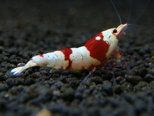 20121224_066c16.jpg