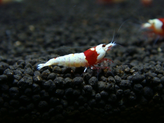 20121224_434a5b.jpg