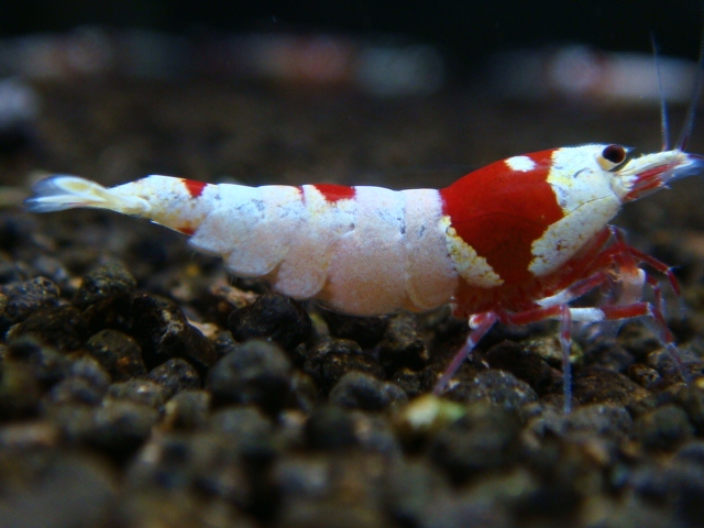20121224_d01fa3.jpg