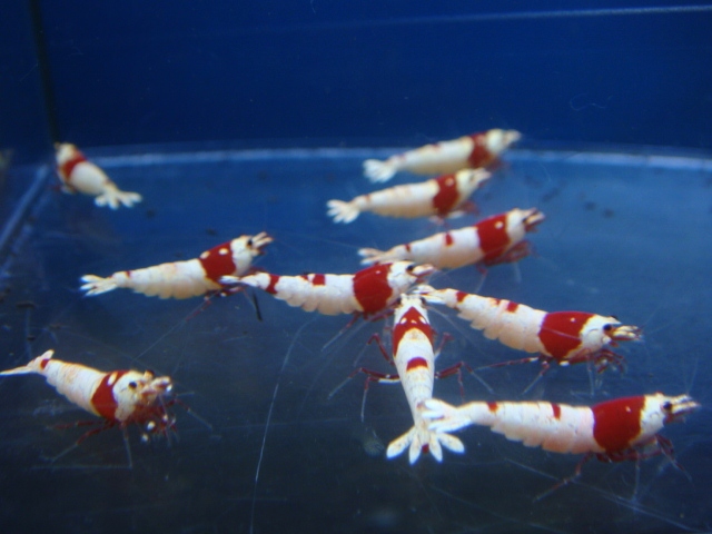 20121225_b7d07a.jpg