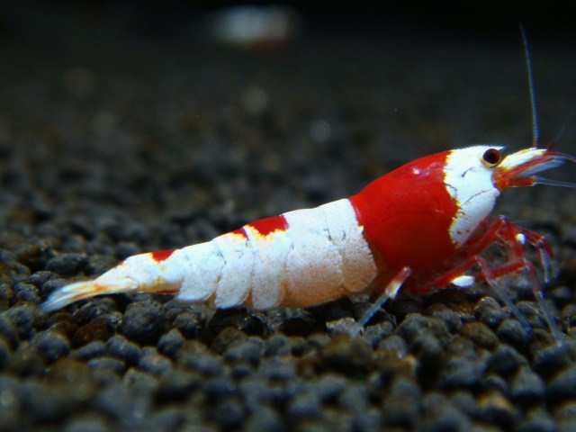 20121226_1aec77.jpg