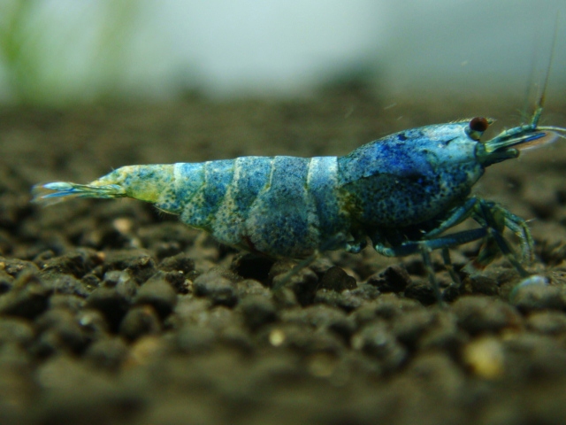 20121226_9257a7.jpg