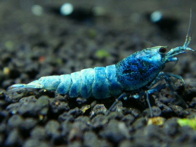 20121226_93f611.jpg