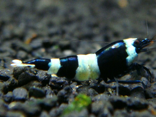 20121227_195128.jpg