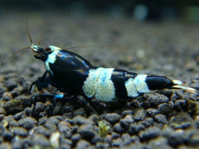 20121227_638a31.jpg