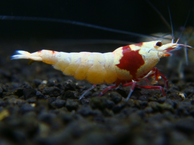 20121227_ab8012.jpg