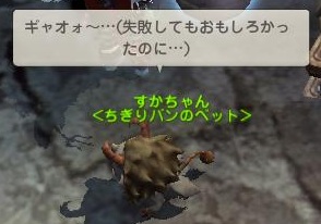 pet7.jpg