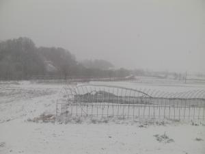 SANY0009_convert_20121208155254.jpg