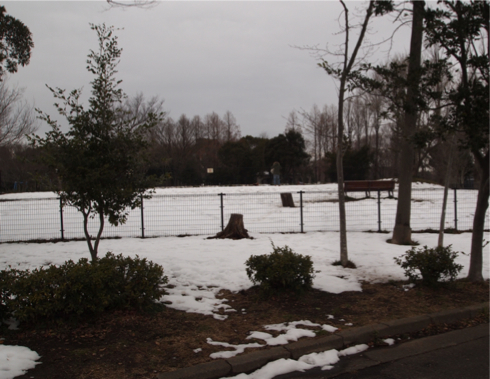 140212-1.jpg
