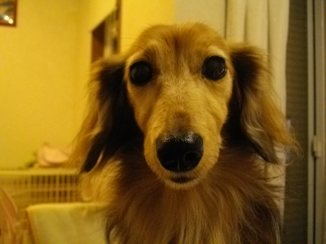 IMGP1263.jpg