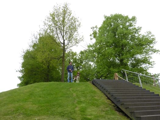 b_0517_3.jpg