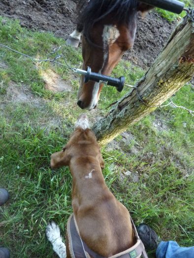 b_0608_11.jpg