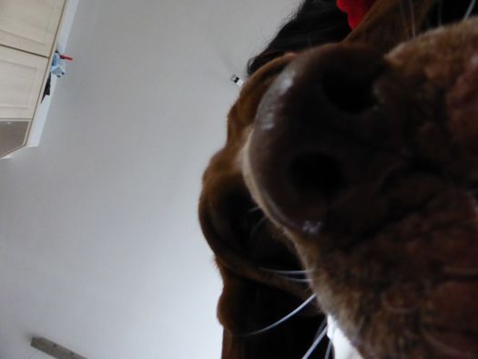 b_070214_2.jpg