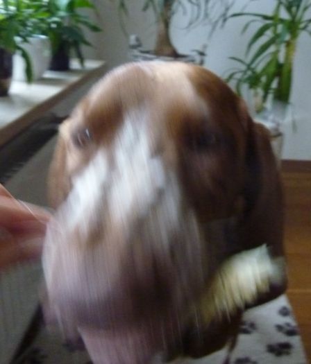 b_300114_3.jpg