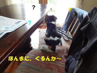 DSC01191a.jpg
