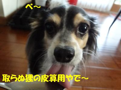 DSC03047a.jpg